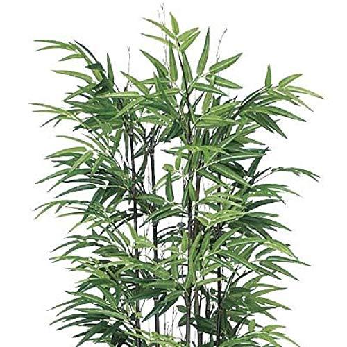 【新品 未使用 日本製】 人工観葉植物 光の楽園 黒竹 1.8m 【XUR9019487562】(32200円)