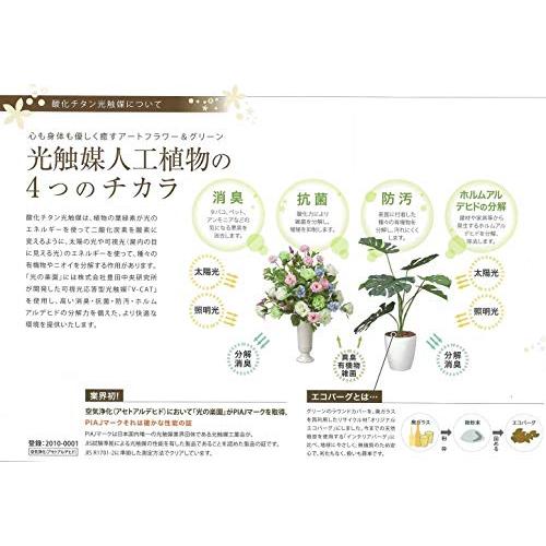 【新品 未使用 日本製】 人工観葉植物 光の楽園 黒竹 1.8m 【XUR9019487562】(32200円)