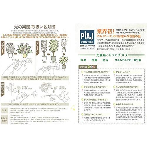 【新品 未使用 日本製】 人工観葉植物 光の楽園 黒竹 1.8m 【XUR9019487562】(32200円)