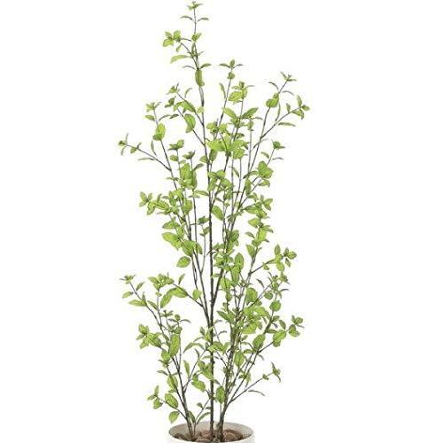 正規激安 観葉植物 フェイクグリーン ユーカリ 1 3m 日本製 光触媒 消臭 抗菌 ホルムアルデヒド対策 光の楽園 A B07twhbmqh マリンライン 通販 Yahoo ショッピング 新品 Jeannesauve Org