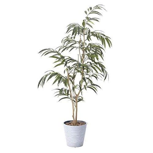 おしゃれ通販 人工観葉植物 光の楽園 ショウナンゴム 1 8m A B0872stssq マリンライン 通販 Yahoo ショッピング セール パリ Esraapharma Com