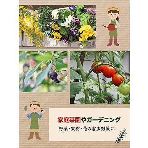 ニームオイル 100 0ml 原液 園芸 害虫対策 無農薬 植物の保護 土壌改良に 害虫駆除 忌避剤 Arisedigital Com Br