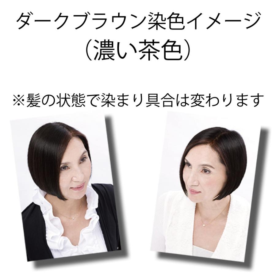 Rishiri 白髪染め カラークリーム ダークブラウン 2個セット＆その他 利尻ヘアカラー・無添加化粧品 自然派clubサスティ[白髪用]利尻