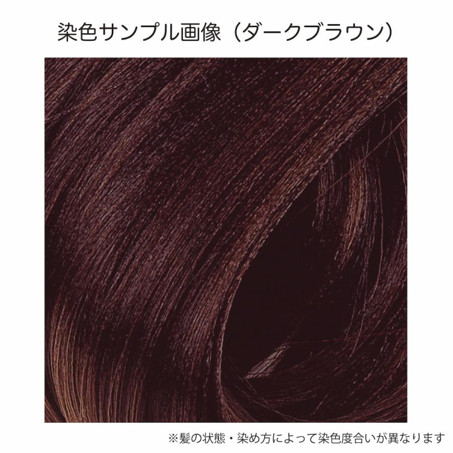 白髪染め ヘアカラーリングクリーム カラートリートメント ダークブラウン 2本セット、こげ茶、ヘナカラー、女性用、男性用、全体用、部分用 100g 2本 |  | 02