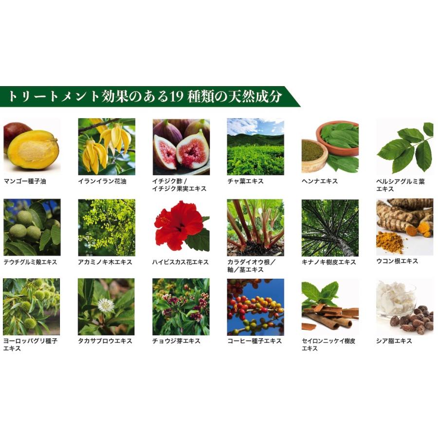 白髪染め ヘアカラーリングクリーム カラートリートメント ダークブラウン 2本セット、こげ茶、ヘナカラー、女性用、男性用、全体用、部分用 100g 2本 |  | 03