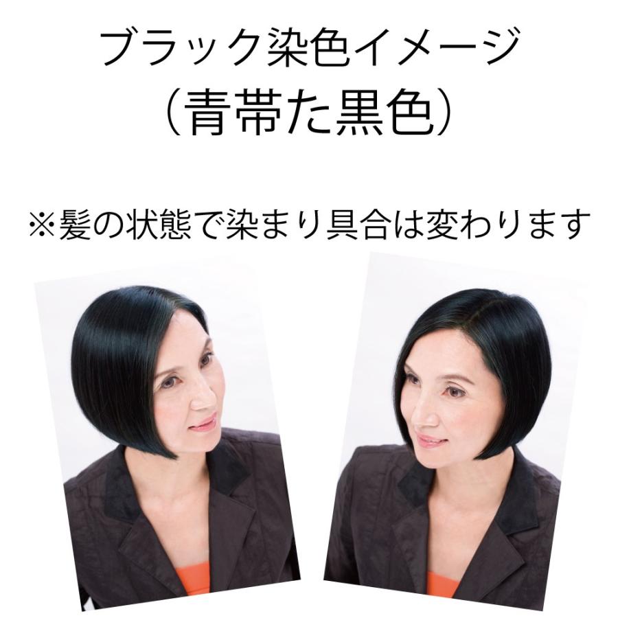 白髪染め ヘアカラーリングクリーム カラートリートメント ブラック 2