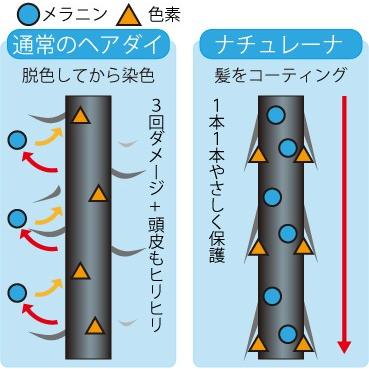 白髪染め ヘアカラーリングクリーム カラートリートメント ブラック 3