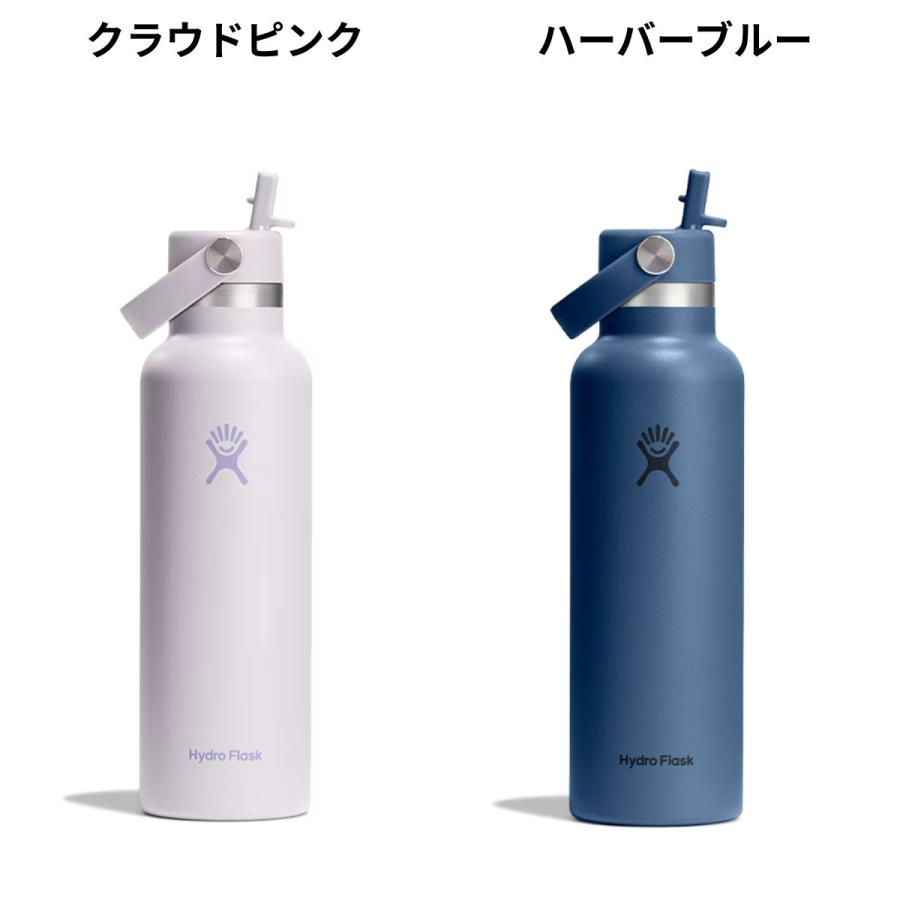 21オンス トラベルタンブラーフラスコ ストローマグ　水筒　ハイドロフラスク　黒 HYDRO FLASK（ハイドロフラスク） Hydro Flask HYDRATION 21 oz