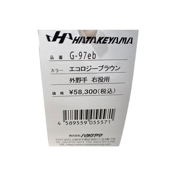 ハタケヤマ HATAKEYAMA 専用グラブ袋付き 硬式グラブ 外野手用 G