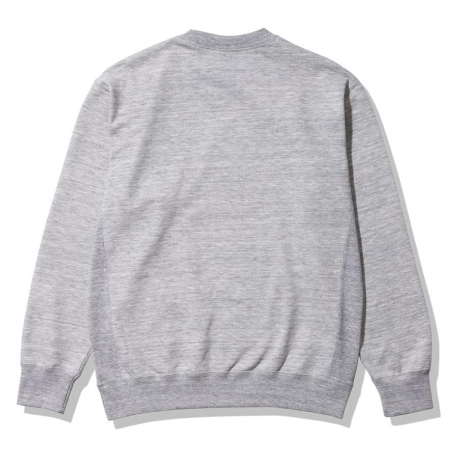 THE NORTH FACE（ザ ノースフェイス） THE NORTH FACE Heather Logo