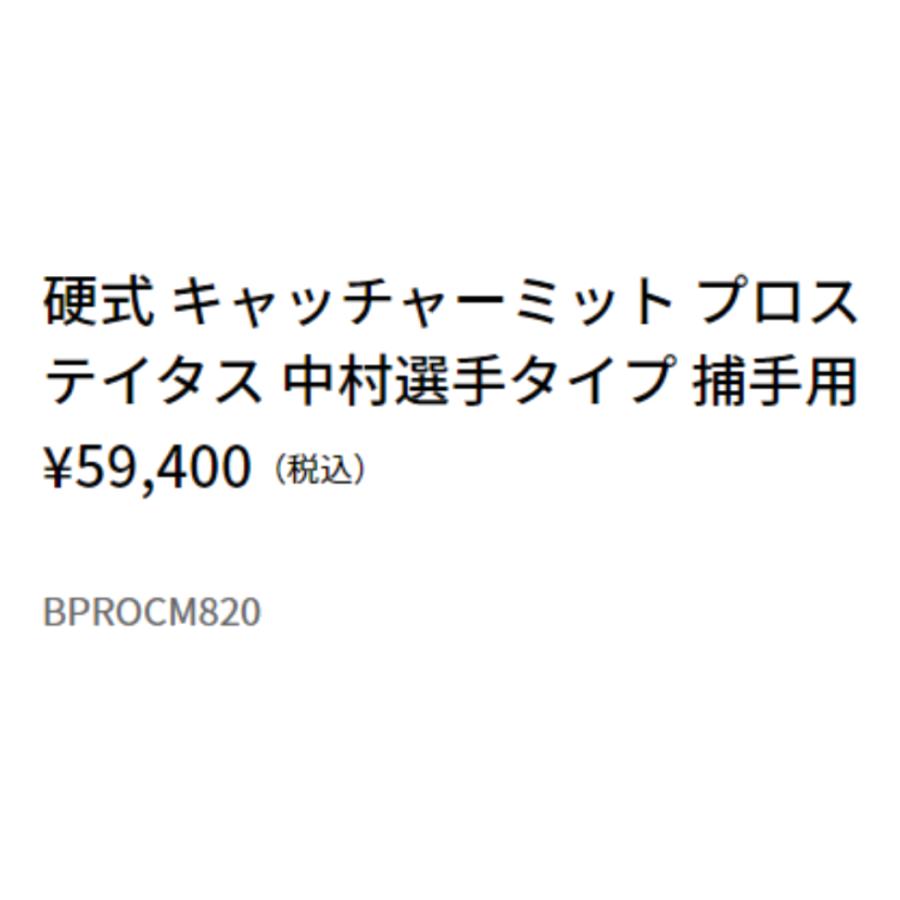 プロステイタス ゼット ZETT PROSTATUS 硬式用キャッチャーミット 捕手