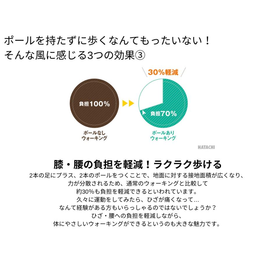 CAMCO（カムコ） ハタチ HATACHI ハタチ フリーアルミDフィット2 2本組