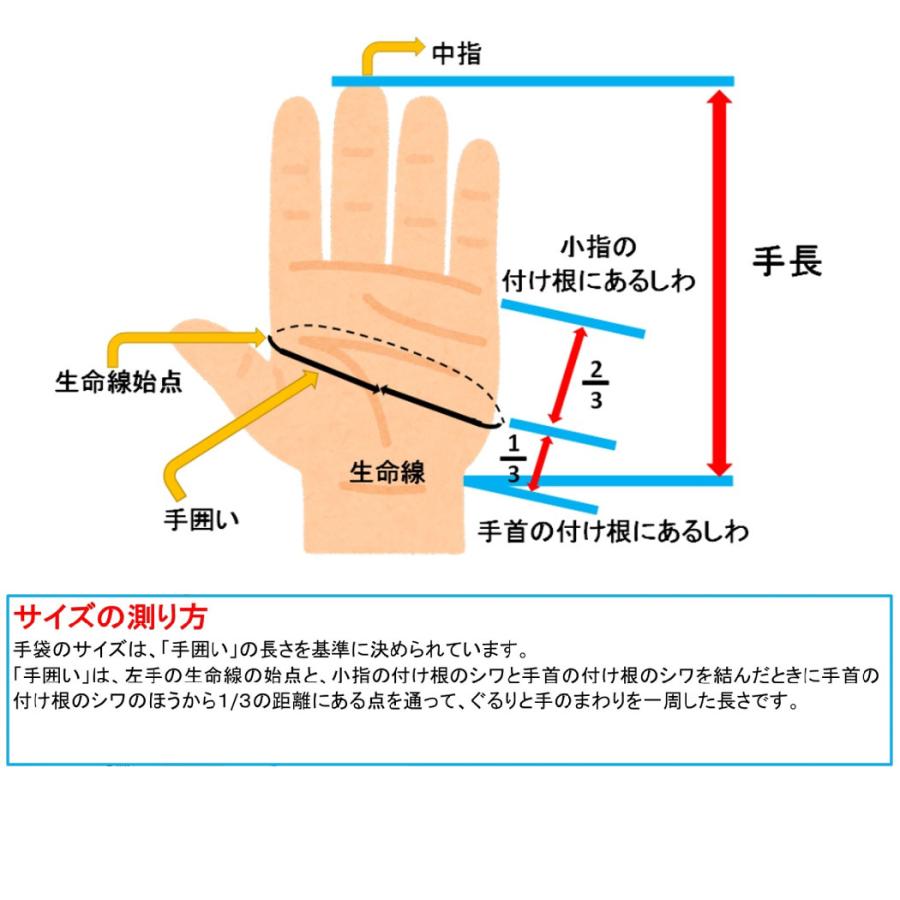 ミズノ MIZUNO ミズノプロ 守備手袋(左手用) 野球 手袋　守備 守備手袋 片手 左手 1EJED074 21 37  45  64｜mario｜09