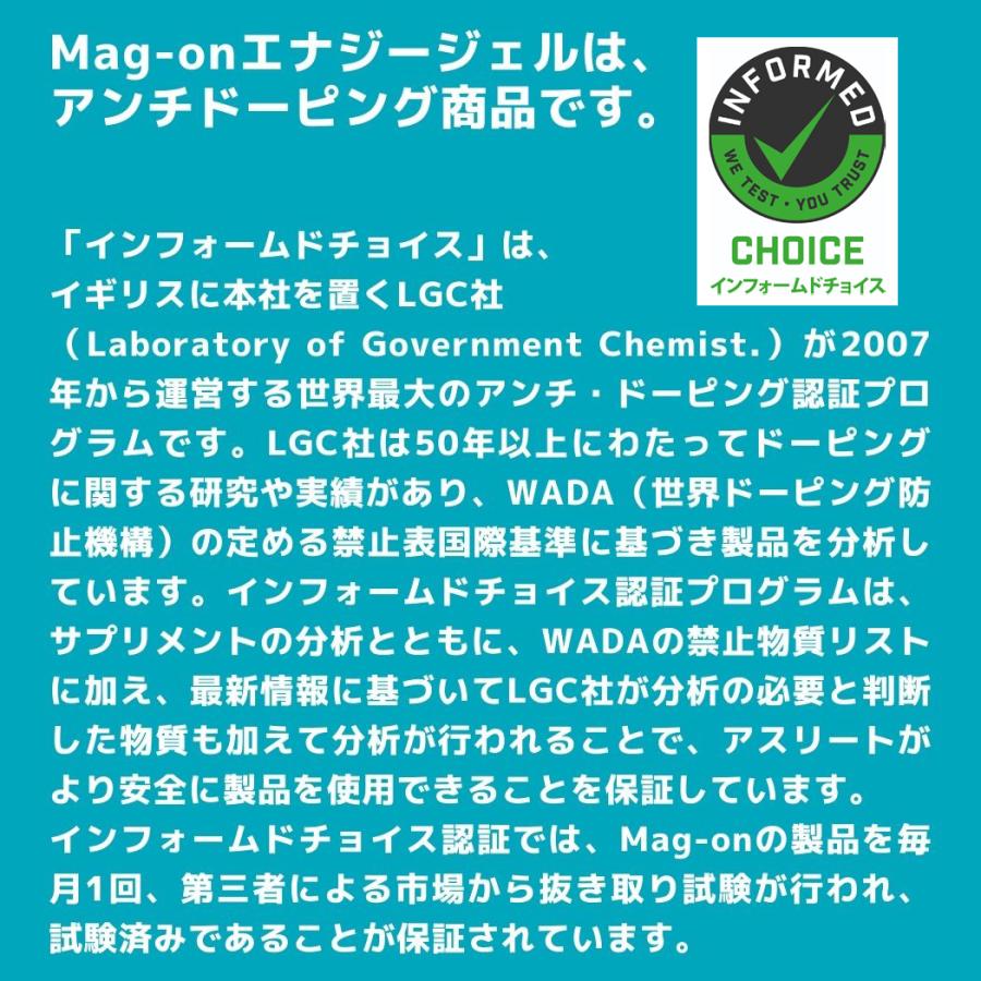 Mag-on（マグオン） MAG-ON Mag-on エナジージェル 各種2個入り 10個