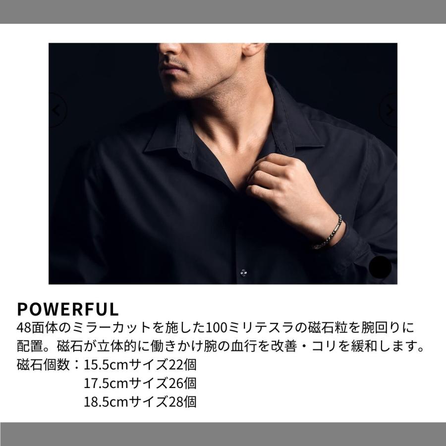 コラントッテ Colantotte コラントッテ ループ LUCEα メンズ レディース ユニセックス ブレスレット アクセサリー 磁気 血行 改善 プレゼント ギフト DABAB_5