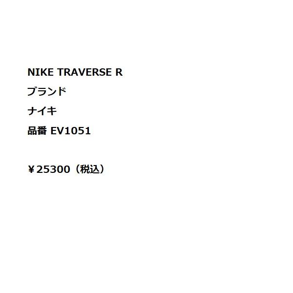 ナイキ NIKE NIKE TRAVERSE R UVカット スポーツ 小物 アクセサリー サングラス EV1051-014の画像