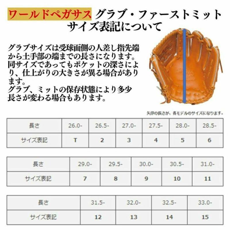 ワールドペガサス WORLD PEGASUS 専用グラブ袋付き グランドペガサス