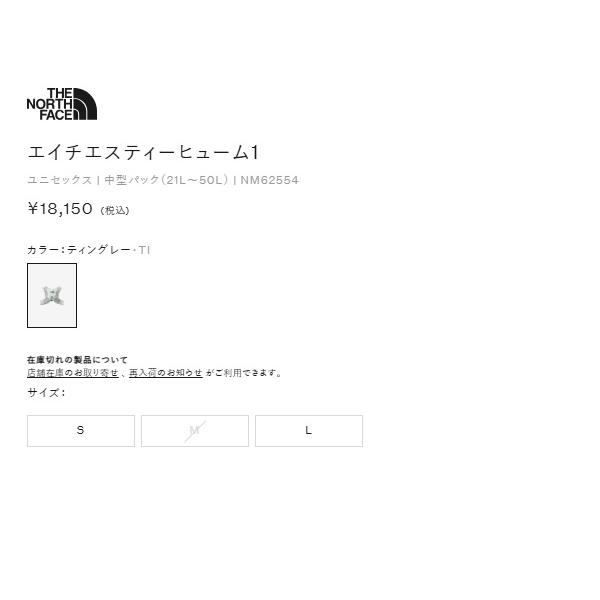 THE NORTH FACE（ザ ノースフェイス） THE NORTH FACE HST FUME 1