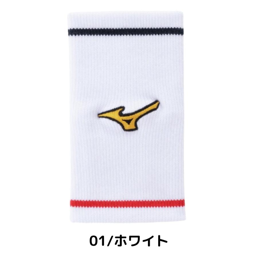 Mizuno Pro ミズノ MIZUNO ミズノプロ リストバンド 勝色コレクション