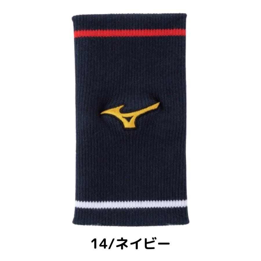 Mizuno Pro ミズノ MIZUNO ミズノプロ リストバンド 勝色コレクション
