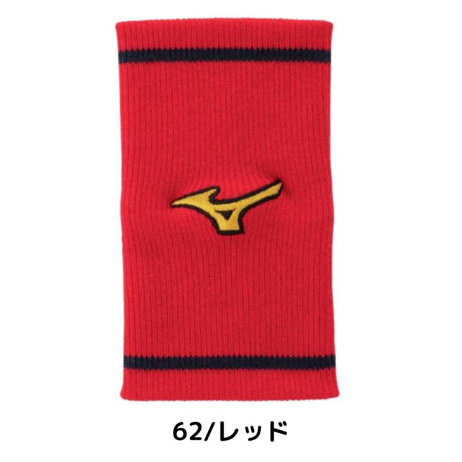Mizuno Pro ミズノ MIZUNO ミズノプロ リストバンド 勝色コレクション