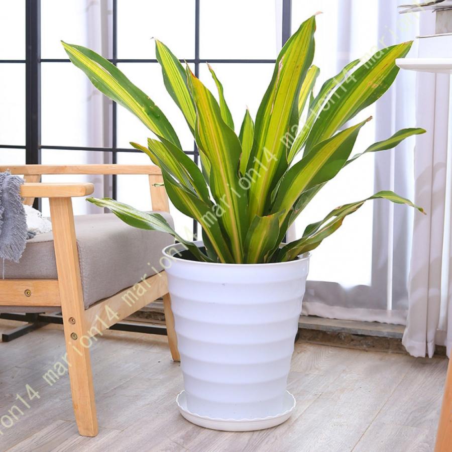 プランター 大型 おしゃれ 受け皿付き 植木鉢 深型 軽量 プラスチック 屋内 屋外用 プランター 深型 直径*高さ22.*14.5 28.7*21.5 cm 排水穴付き 観葉植物 鉢｜marion14｜10