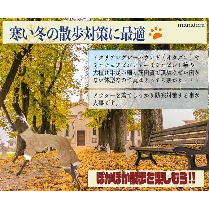 イタグレ 服 おしゃれ イタリアングレーハウンド服 ミニチュア