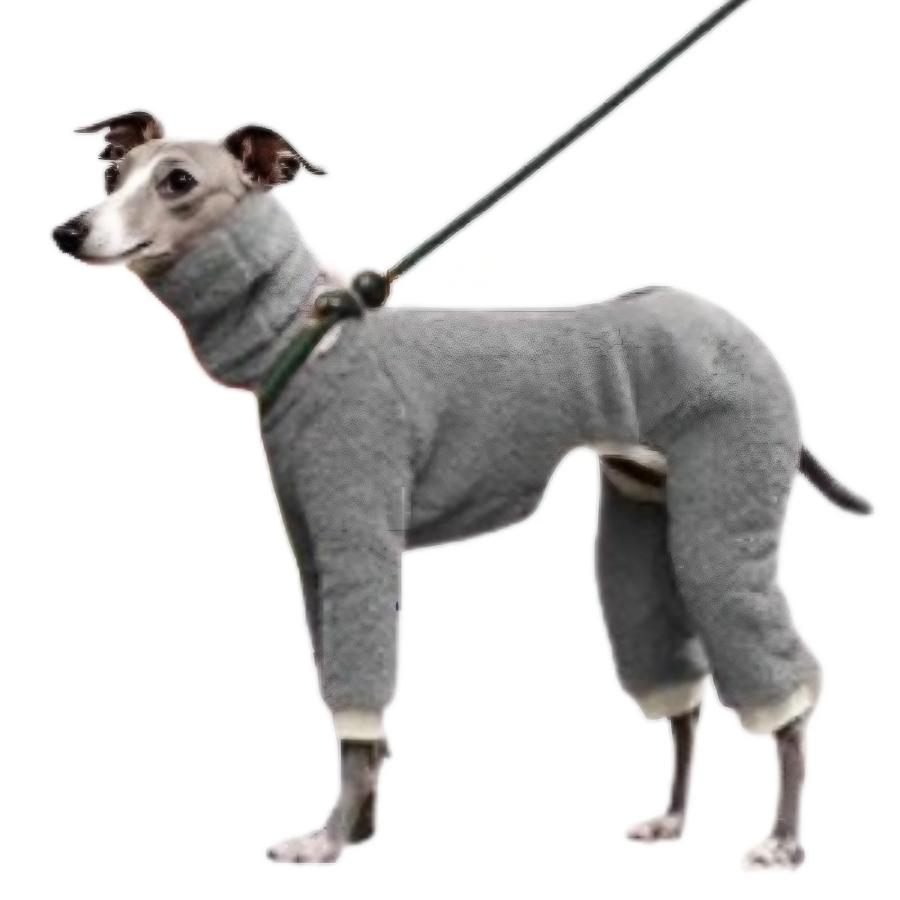 イタグレ 服 おしゃれ イタリアングレーハウンド服 ミニチュア