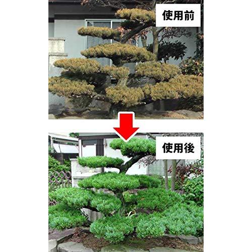 弱った植木の樹勢回復に ニワユタカ肥料セット 120g　rt201 |  | 03
