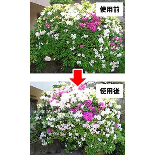 弱った植木の樹勢回復に ニワユタカ肥料セット 120g　rt201 |  | 04