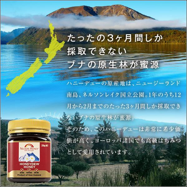 純粋はちみつ ハニーデュー 大容量 1kg 生 はちみつ 非加熱 無添加 抗生物質不使用 マヌカハニーを超える栄養素！ 【【送料無料】】｜maririnz-manukahoney｜03