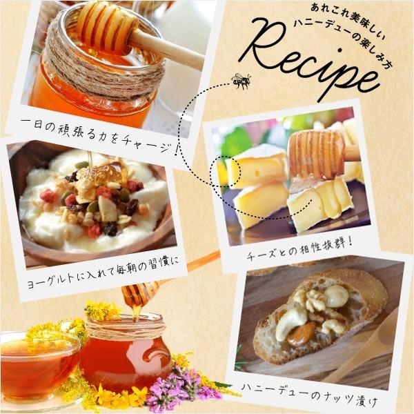 タイムセール限定45%OFF! 生 はちみつ 1kg 1本 【 マヌカ タイムセール限定45%OFF! 生 はちみつ 1kg 1本 【 マヌカ