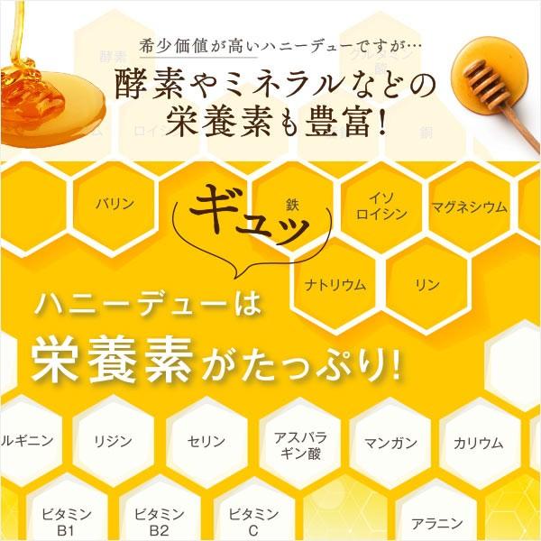 生 はちみつ 250g 1本 【 マヌカハニー を超える栄養素！】 ハニー