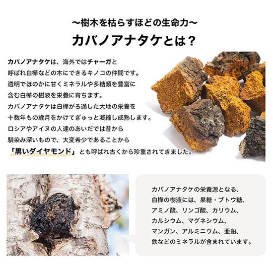 樺のあな茸茶（1g×30包）天然カバノアナタケ100％ ティーバックタイプ