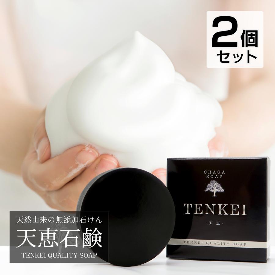 2個セット】天恵クオリティソープ 80g プラスケア サロン品質 100%植物