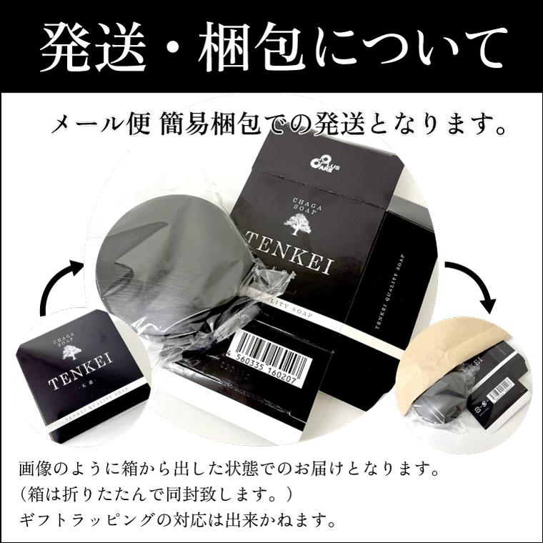 最短翌日着】天恵クオリティソープ 80g プラスケア サロン品質