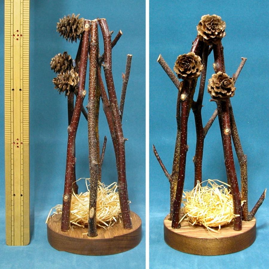 枝台 鳥の巣 1個 天然素材 北海道産 外箱付き ディスプレイ 作品台