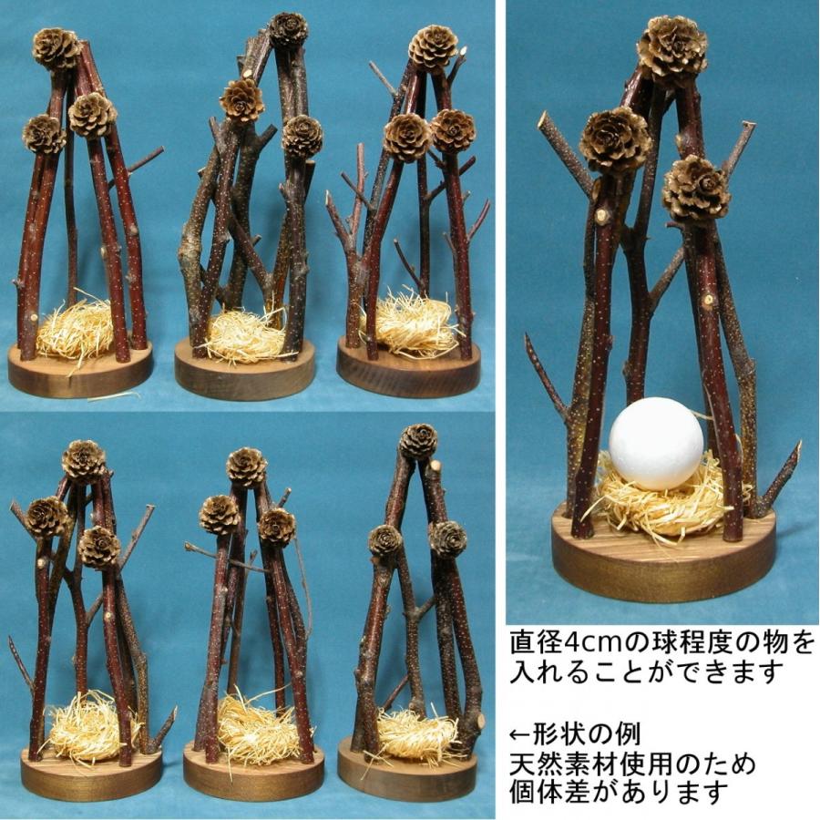 枝台 鳥の巣 1個 天然素材 北海道産 外箱付き ディスプレイ 作品台