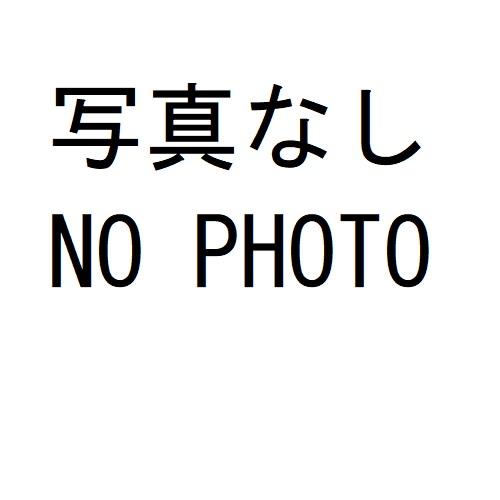 メール便可 SMP-01 素玉ペップ 極小 #15白(1束/袋) 深雪アートフラワー