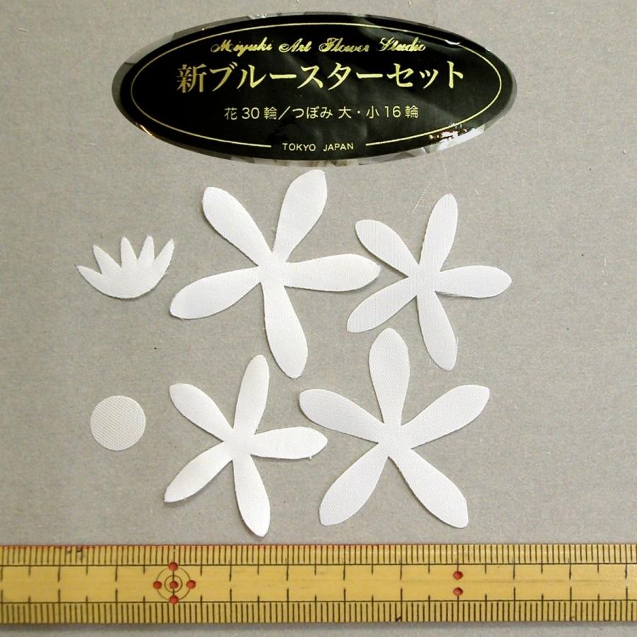 メール便可 2286 新ブルースター 花30輪、つぼみ大、小各16輪/花弁大