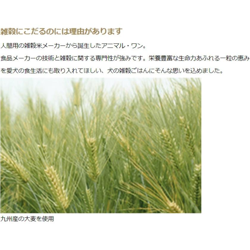 犬の雑穀ごはん アニマルワン ドッグフード 機能性フィッシュ 4個セット フィッシュ 800グラム |  | 01