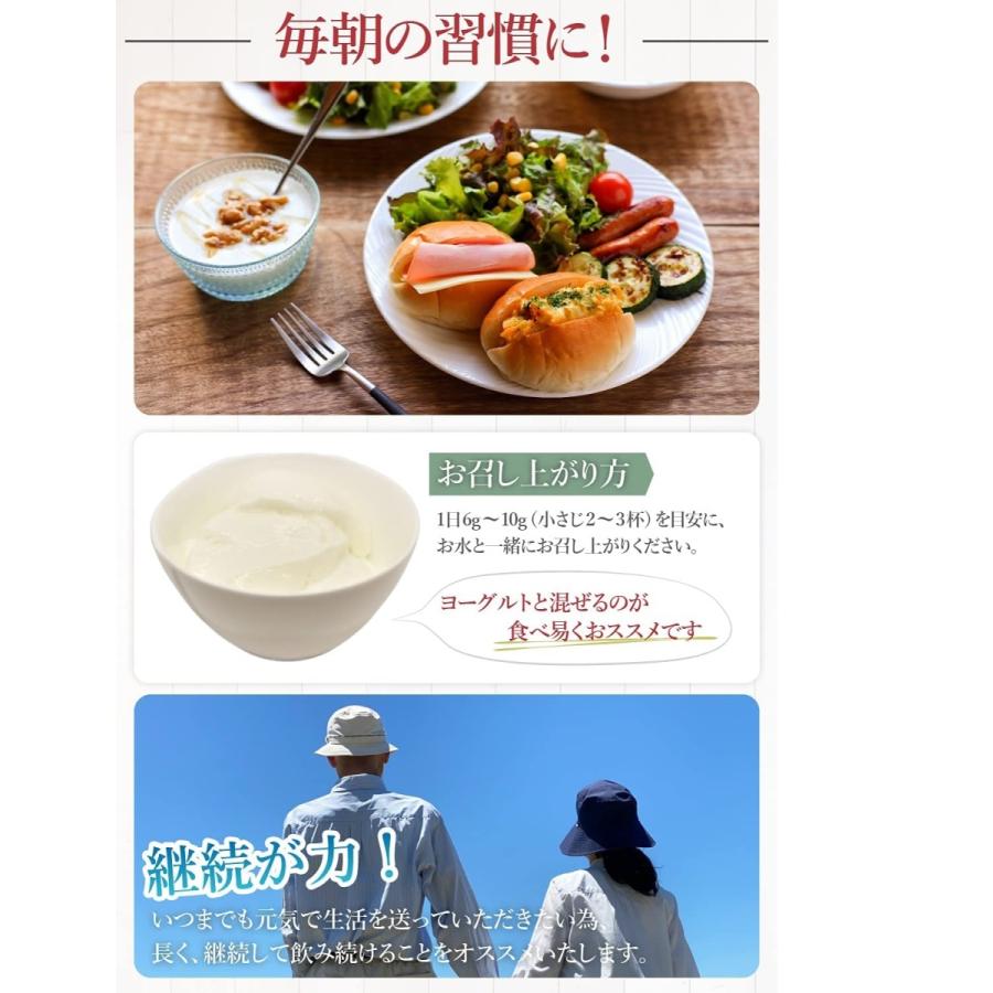 主命堂 CPL 環状重合乳酸 400g スーパー乳酸