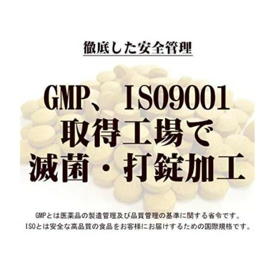 屋久島 春ウコン粒 300粒 屋久島産 無農薬 有機栽培 サプリメント |  | 02