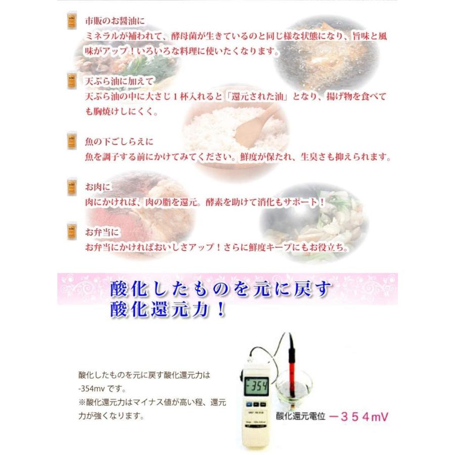ビオソルト リ・コエンザイム 2個セット(300g×2) : 美健ストア - 通販