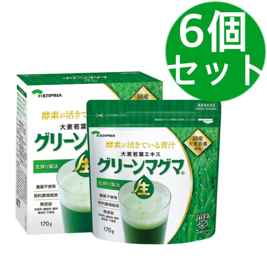 グリーンマグマ 170g 日本薬品開発 ×6個セット 青汁 パッケージがリニューアルしました | 