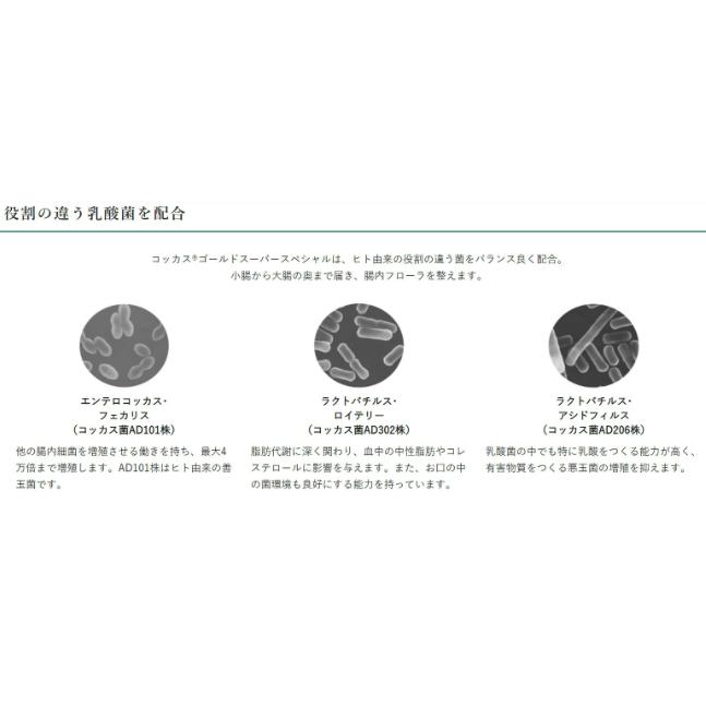 新 コッカス・ゴールドスーパー スペシャル 100g （1ｇ×100包）コッカス菌 増量 リニューアル品 |  | 03