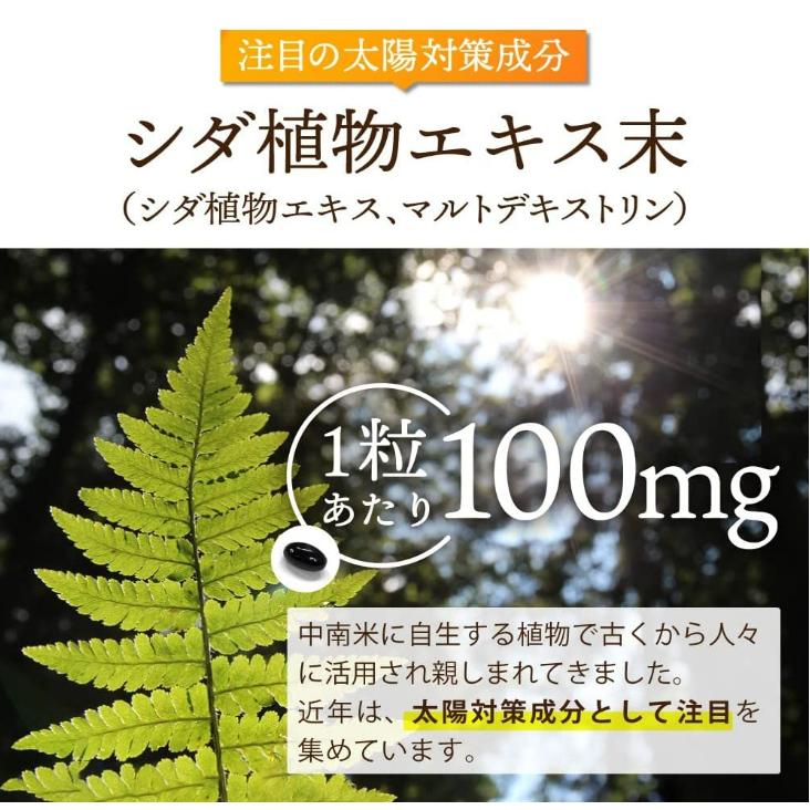 ヨネキチ 飲む 太陽対策 KIHAKU シダ植物エキス サプリメント 日本製 栄養機能食品 ビオチン ビタミンD ビタミンB6 約１ヶ月分　30粒 |  | 06