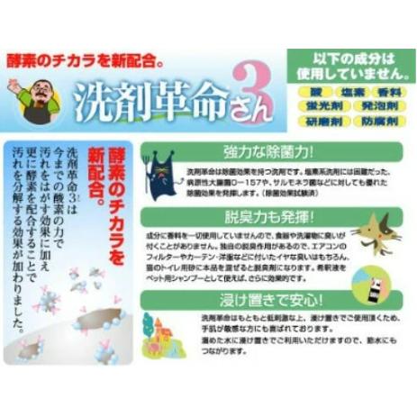 洗剤革命 SUPER洗剤革命II 300g |  | 03