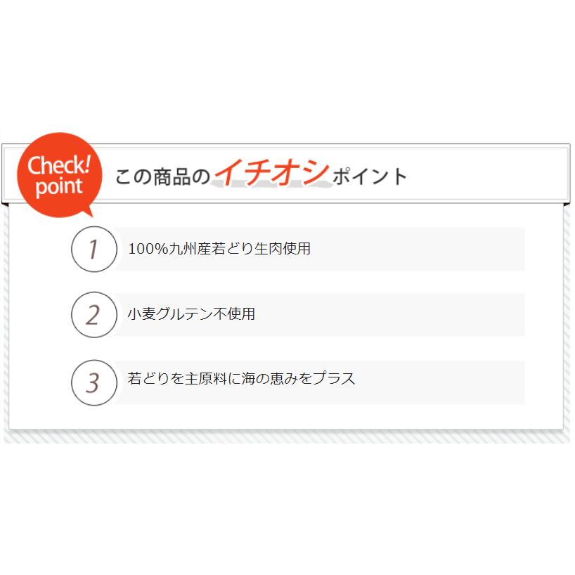 たまのカリカリ ねこまんま ライト 500g アニマルワン キャットフード 10個セット |  | 02