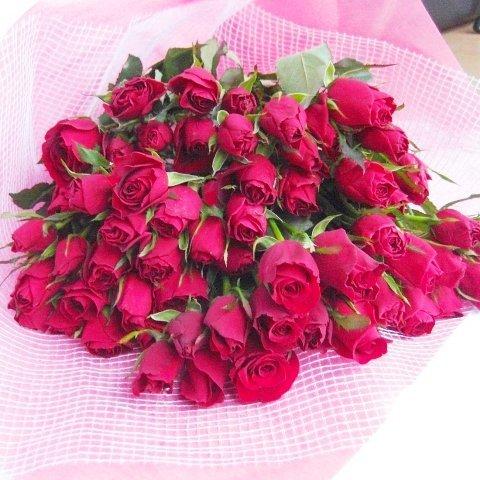 純正特販祝いにサプライズギフトに国産の赤いバラ１００本のボリューム花束大幅値引き中 Effe Studio Pl